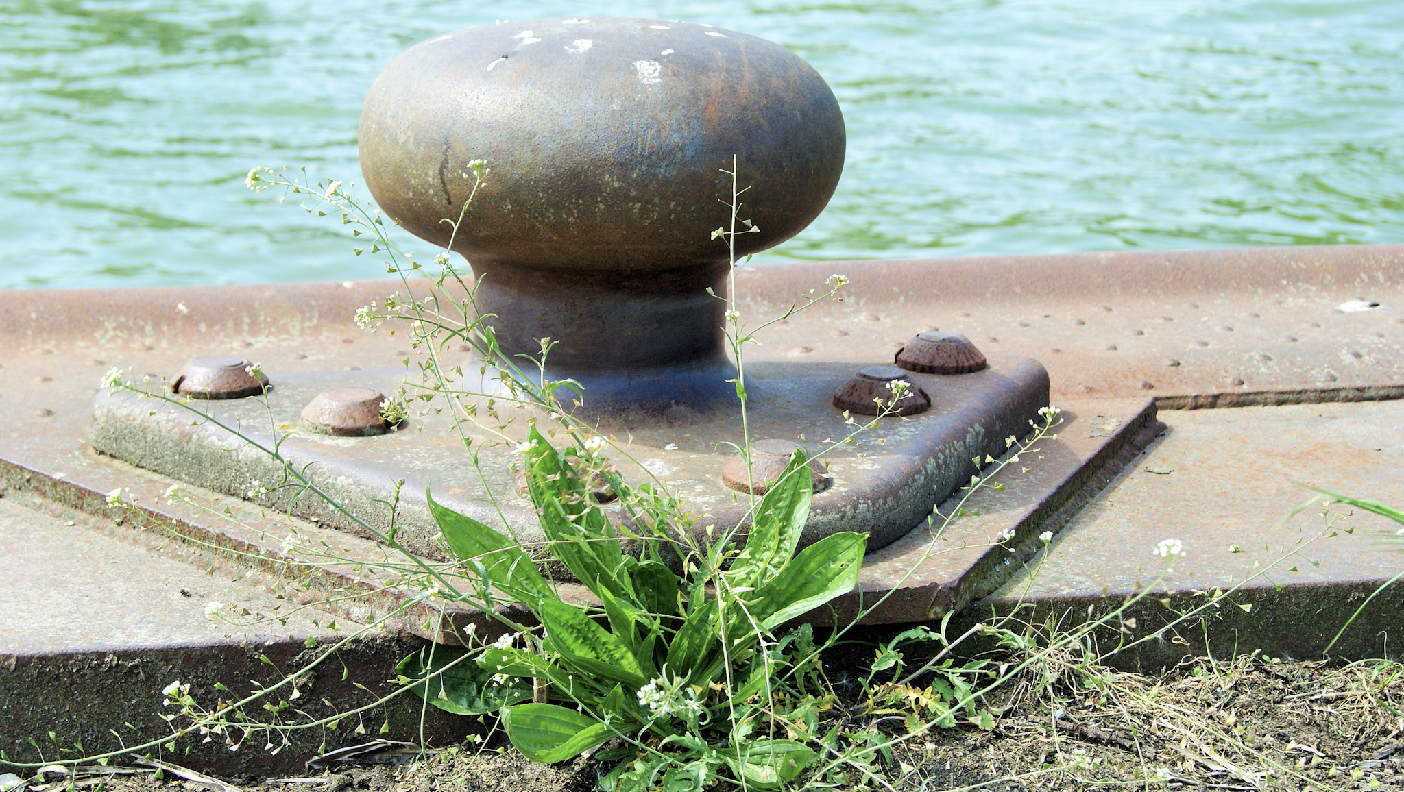 1464c6f746b56fb04fd93b970964e351